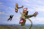 Click to view Ace of Aces.jpg